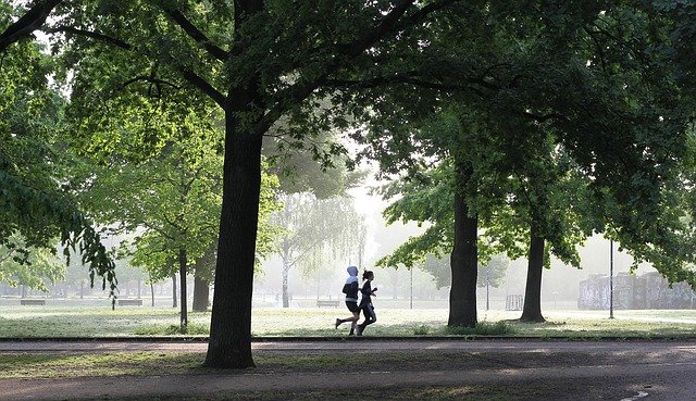 jogging-4211946_640.jpg