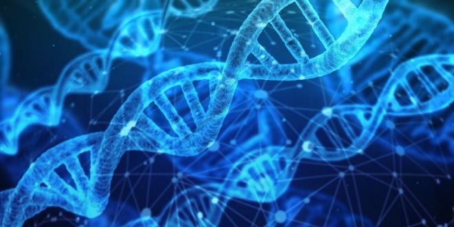 [크기변환]dna-3539309_1920.jpg