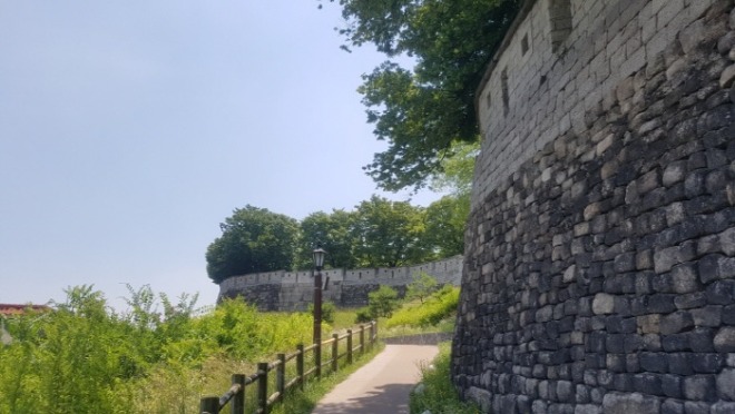 20190625_125445.jpg