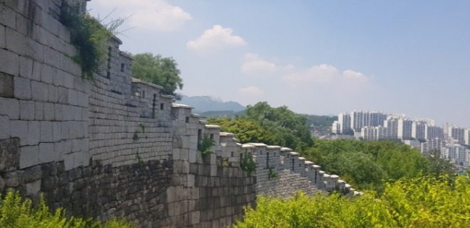 20190625_130719.jpg