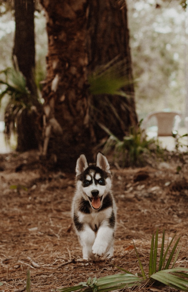 cody-board-tnNVJd_nrw8-unsplash.jpg