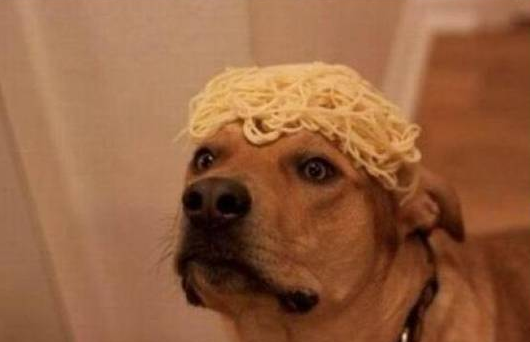 20210216090805_kmtgmfnl.png