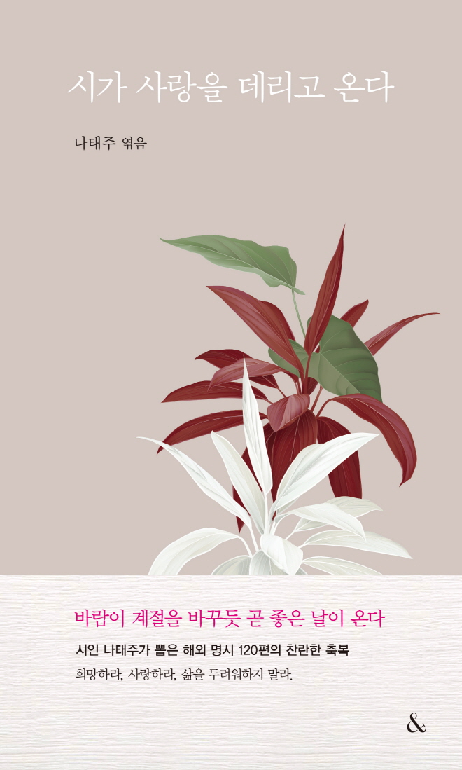 표지 평면 이미지.jpg