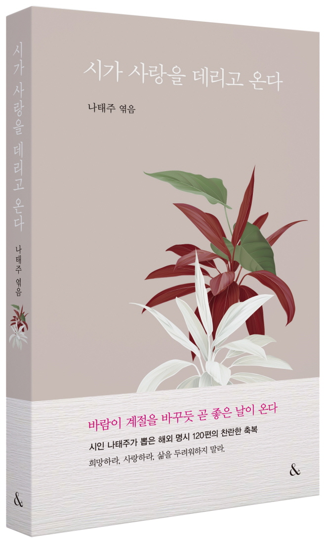 시가사랑을 입체사진.jpg