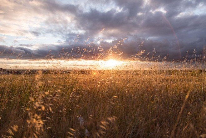 sunset-731307_1920.jpg