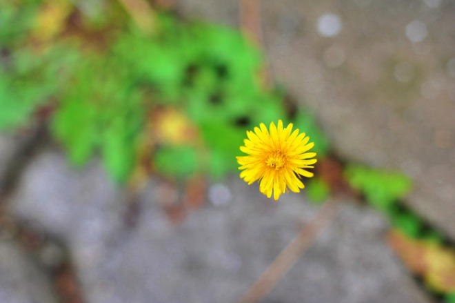 20210301020658_mhnaxvxt.jpg