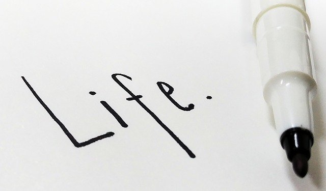 life-2382349_640.jpg