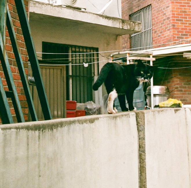 [크기변환]KakaoTalk_20210311_145135231-2.jpg