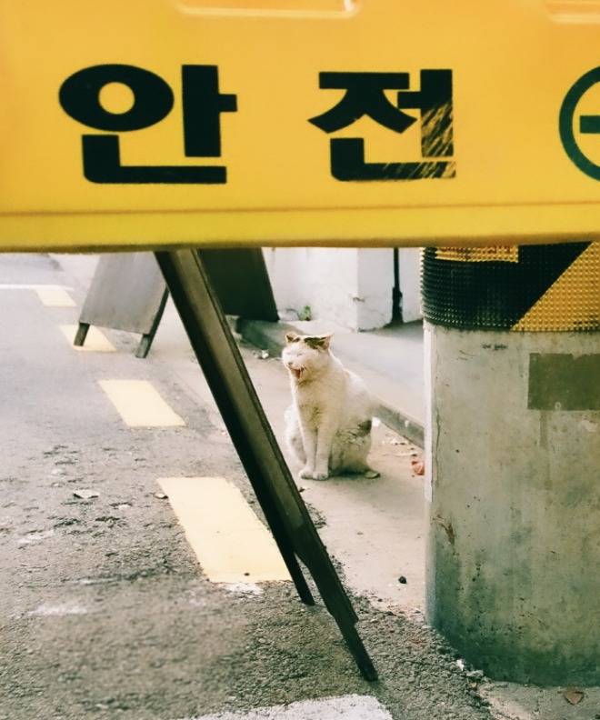 [크기변환]KakaoTalk_20210311_145135694-2.jpg