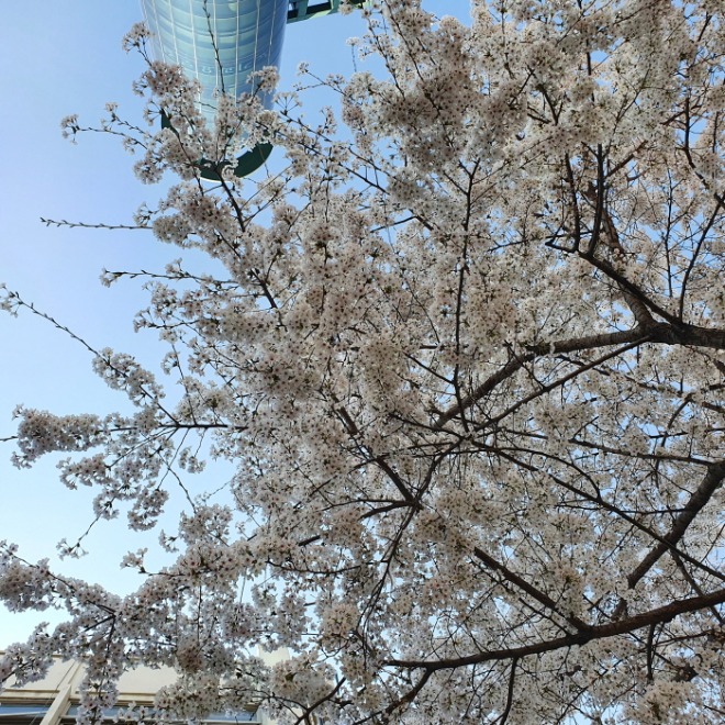 [크기변환]KakaoTalk_20210330_183943072.jpg