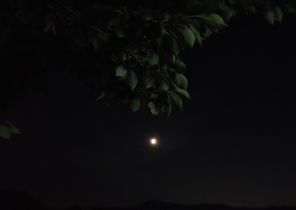 [크기변환]KakaoTalk_20210331_155146510.jpg
