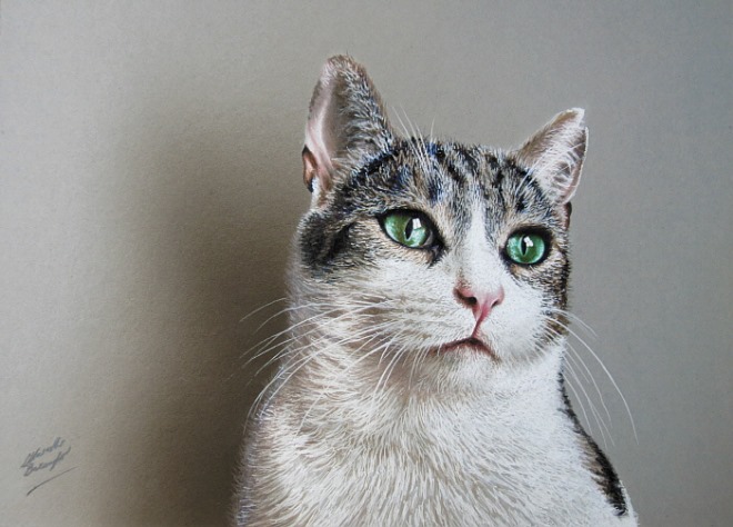028-Cat.jpg