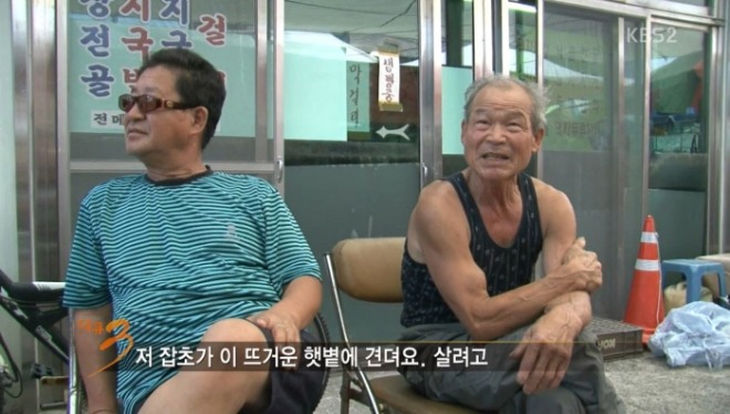 [크기변환]27 잡초가.JPG