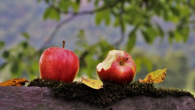 apple-3659801_1280.jpg