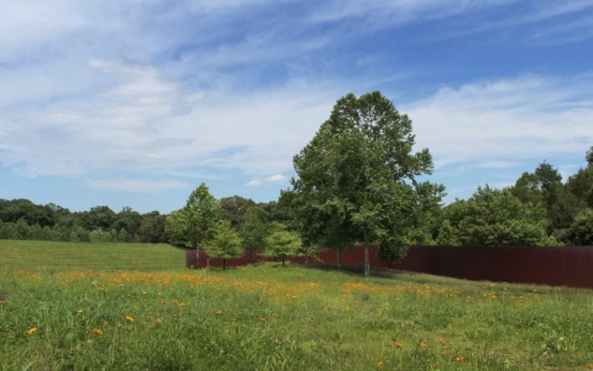 resize_AV_Landscape-Hero-Contour-2993-1276x800.jpg
