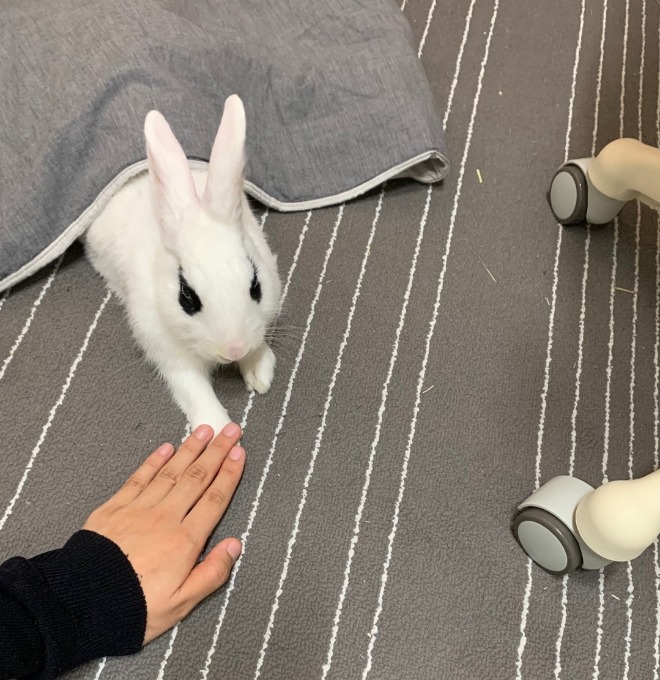 월토2.jpg