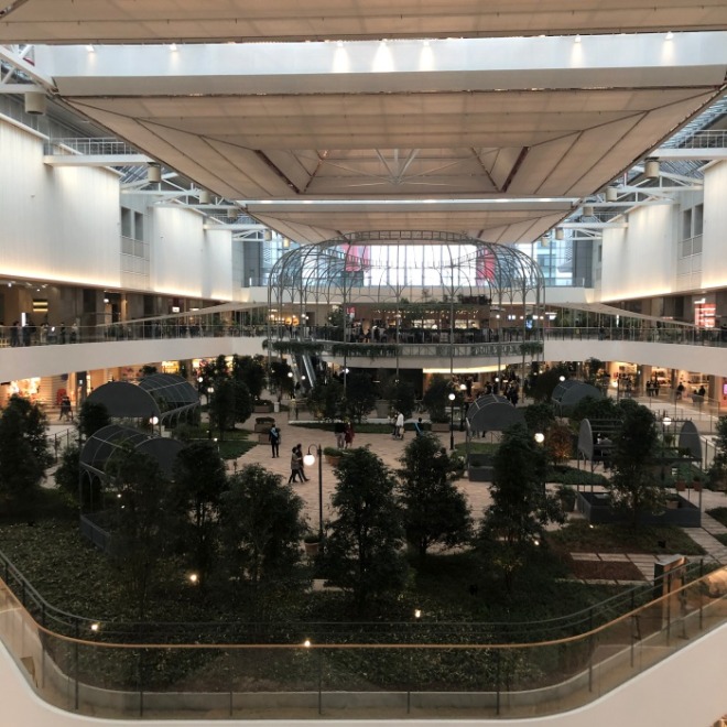 resize_IMG_7661.jpg