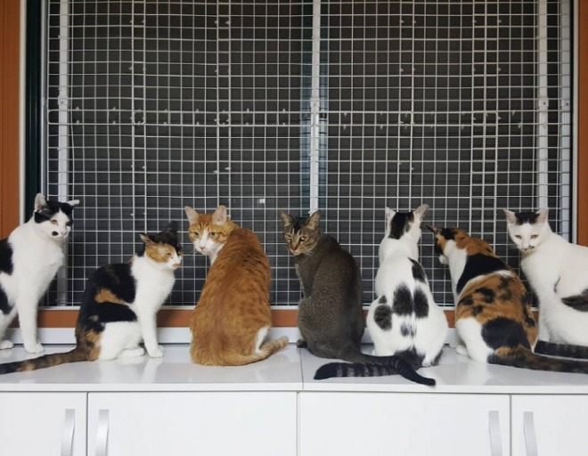 KakaoTalk_20210430_205655723.jpg