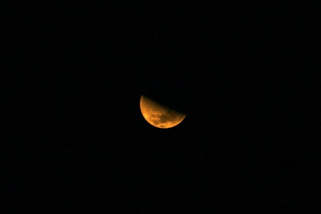 [크기변환]half moon-unsplash.jpg