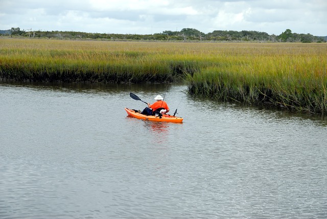 kayak-2080232_640.jpg