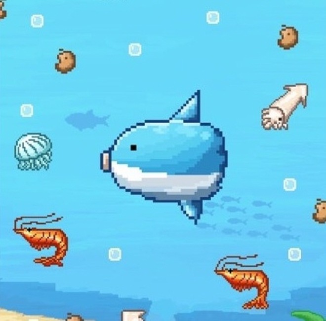 KakaoTalk_20210503_201919367.jpg