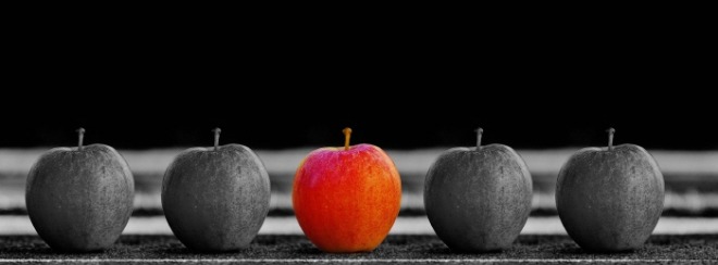 [크기변환]apple-1594742_1920.jpg