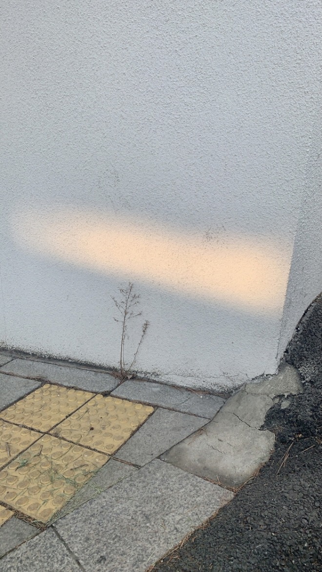 [크기변환]KakaoTalk_20210524_002910652_09.jpg