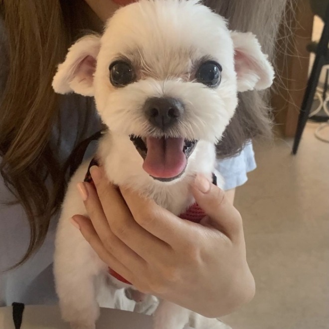 [크기변환]KakaoTalk_20210525_073949255.jpg