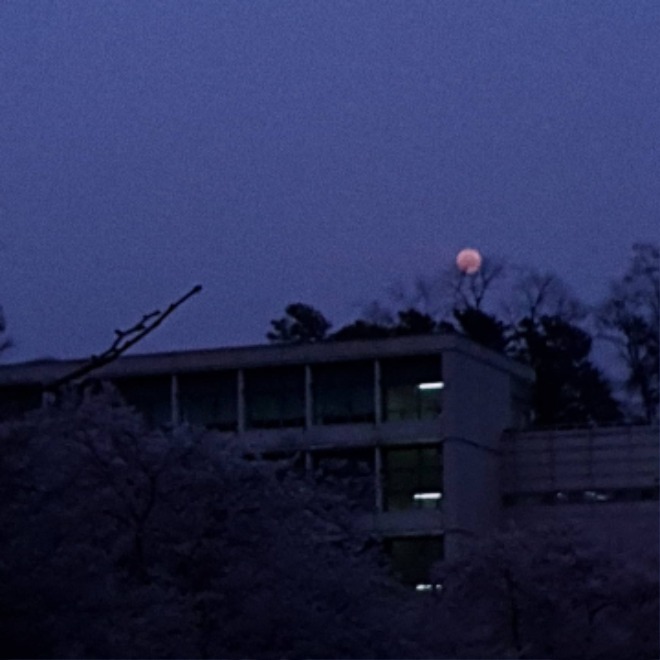 KakaoTalk_20210525_144201889.jpg