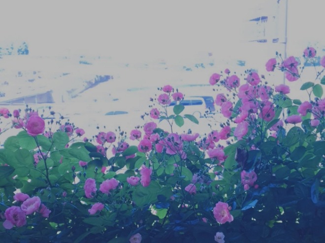 일괄편집_KakaoTalk_20210528_152627672.jpg