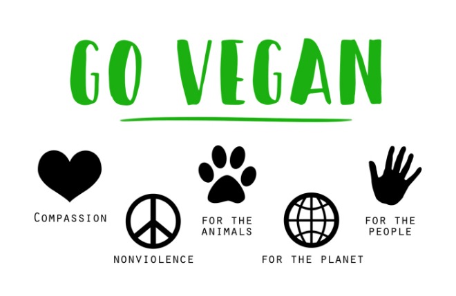 vegan-1343429_1920.jpg