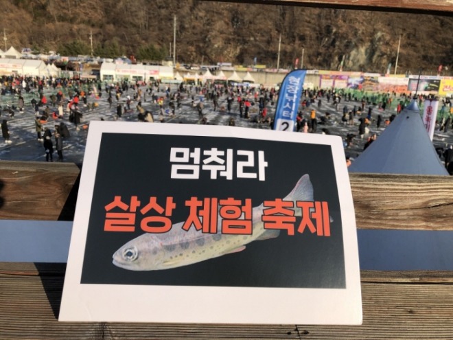 동물구조119 화천.jpg