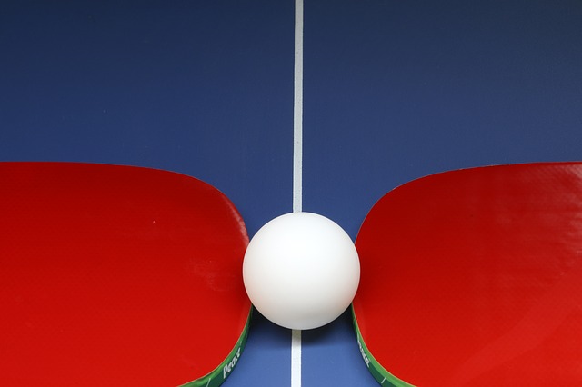 table-tennis-4046291_640.jpg
