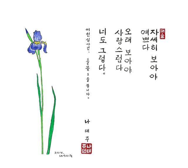풀꽃 시.jpeg