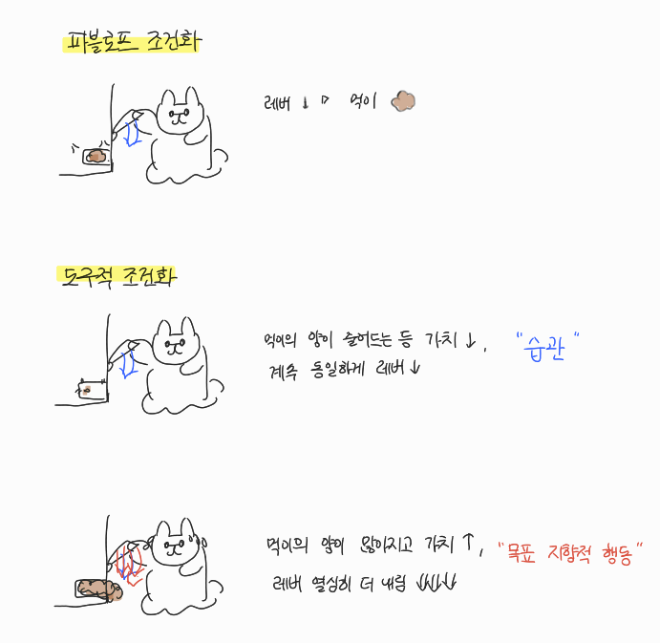 조건화.png