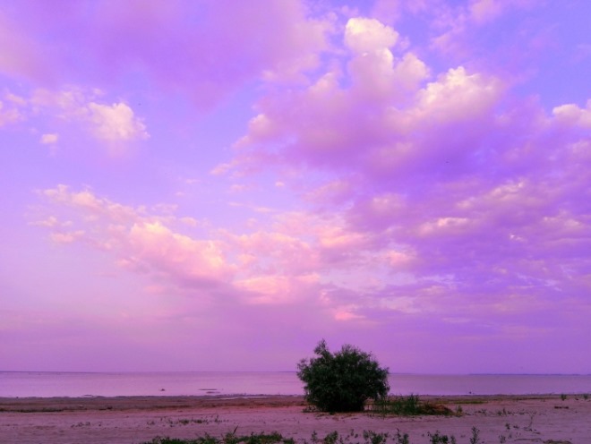 landscape-5287484_1280.jpg