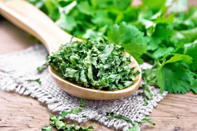 [크기변환]cilantro-3.jpg
