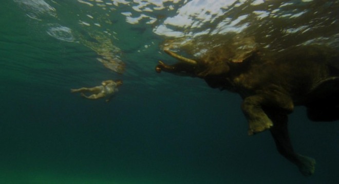 The.Fall.2006.1080p.BluRay.x264.AC3-ONe.mkv_001516056.jpg