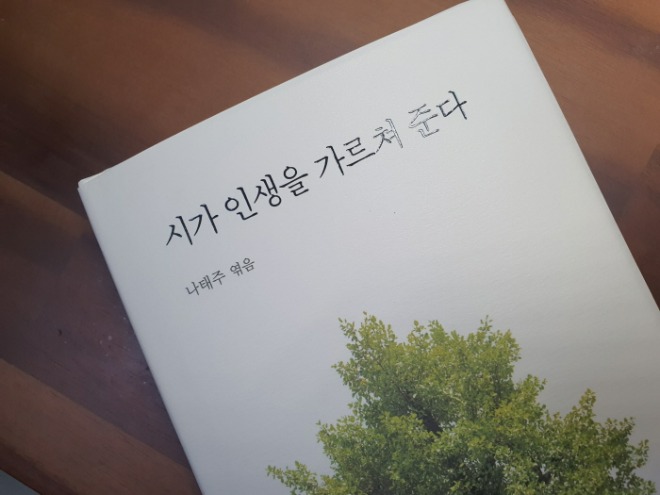 나태주 책표지.jpg