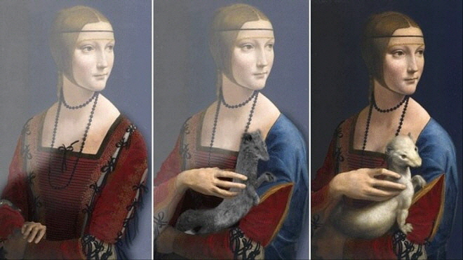 131.jpg