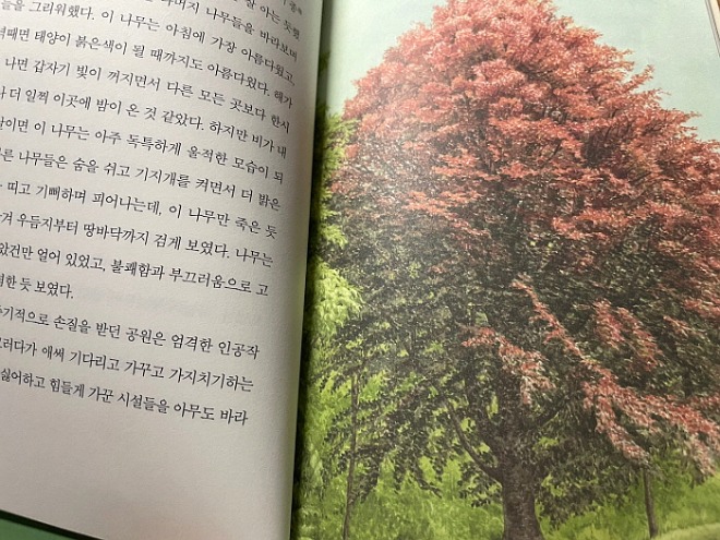 KakaoTalk_20210727_201119486.jpg
