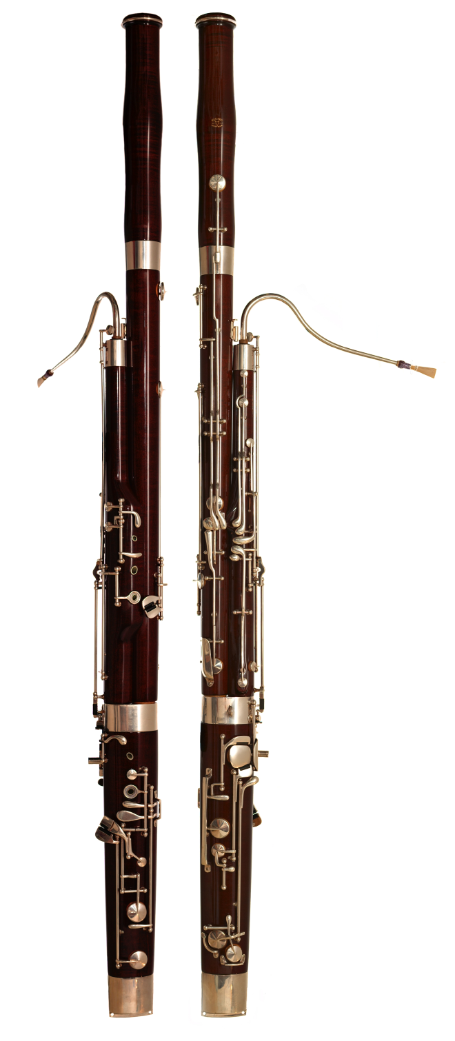 FoxBassoon.png