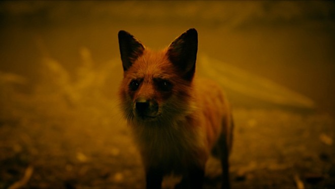 movie_image (4).jpg