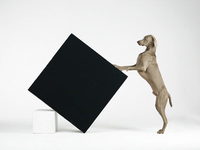 36138_Constructivism_2014.jpg