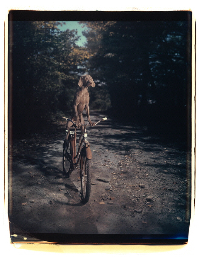 05452_Uphill_1990.jpg
