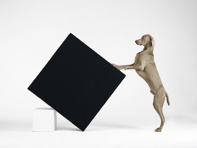36138_Constructivism_2014.jpg