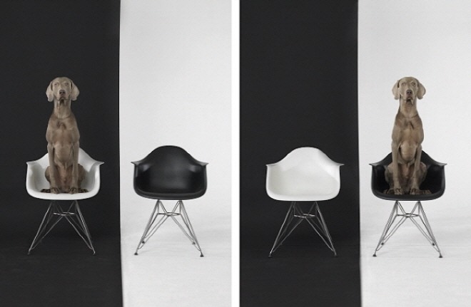 36182_Left_Right_Black_White_2015.jpg