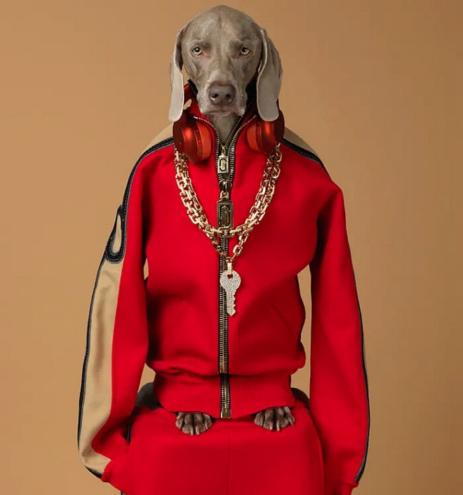 [꾸미기][크기변환]william_wegman-exhibition-BEING-HUMAN-03-b588b19e-d038-4ce1-b13d-54f41ede29c2.jpg