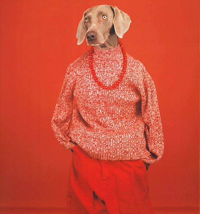 [꾸미기][크기변환]william_wegman-exhibition-BEING-HUMAN-01-8b845bc3-cac7-4290-93a0-b024edb44edd.jpg