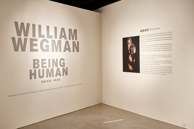 P1015833.jpg